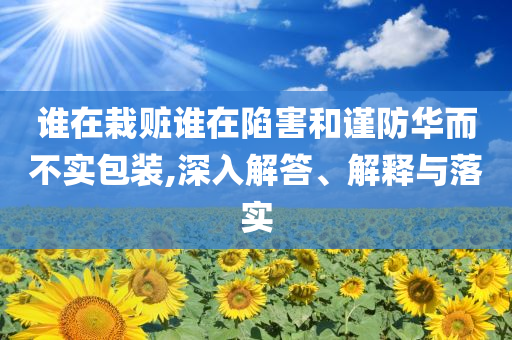 誰在栽贓誰在陷害和謹(jǐn)防華而不實包裝,深入解答、解釋與落實