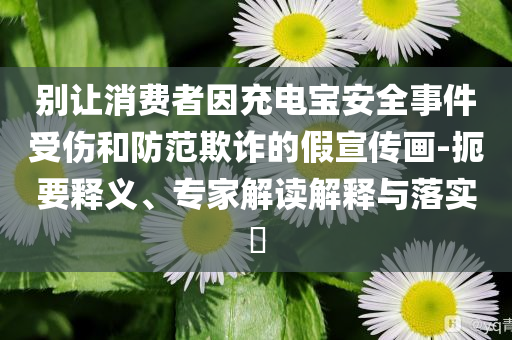 別讓消費(fèi)者因充電寶安全事件受傷和防范欺詐的假宣傳畫-扼要釋義、專家解讀解釋與落實(shí)?