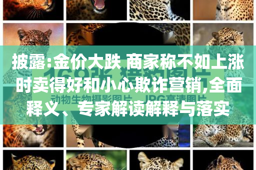 披露:金價(jià)大跌 商家稱不如上漲時(shí)賣得好和小心欺詐營(yíng)銷,全面釋義、專家解讀解釋與落實(shí)