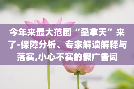 今年來最大范圍“桑拿天”來了-保障分析、專家解讀解釋與落實,小心不實的假廣告詞