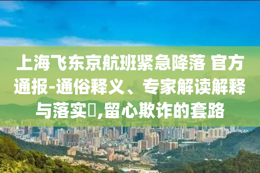 上海飛東京航班緊急降落 官方通報-通俗釋義、專家解讀解釋與落實?,留心欺詐的套路