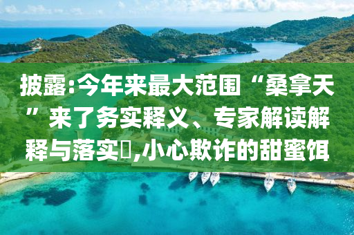 披露:今年來最大范圍“桑拿天”來了務實釋義、專家解讀解釋與落實?,小心欺詐的甜蜜餌