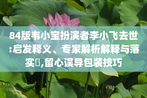 84版韋小寶扮演者李小飛去世:啟發(fā)釋義、專家解析解釋與落實?,留心誤導(dǎo)包裝技巧