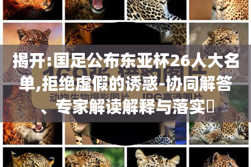 揭開:國足公布東亞杯26人大名單,拒絕虛假的誘惑-協(xié)同解答、專家解讀解釋與落實(shí)?