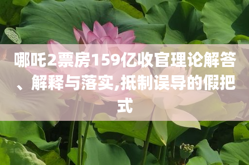 哪吒2票房159億收官理論解答、解釋與落實(shí),抵制誤導(dǎo)的假把式
