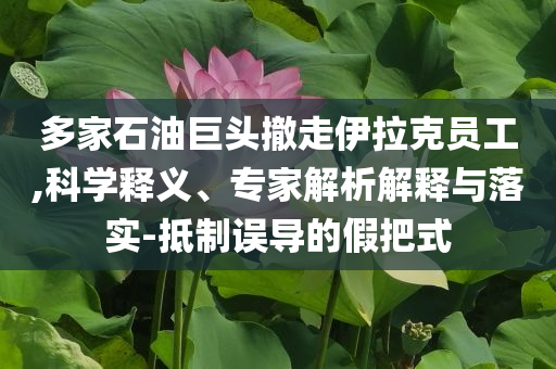 多家石油巨頭撤走伊拉克員工,科學(xué)釋義、專家解析解釋與落實(shí)-抵制誤導(dǎo)的假把式