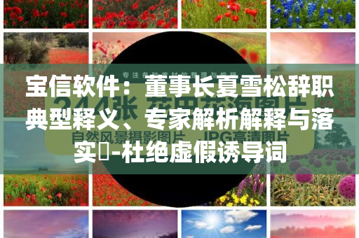 寶信軟件：董事長夏雪松辭職典型釋義、專家解析解釋與落實(shí)?-杜絕虛假誘導(dǎo)詞