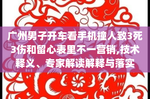 廣州男子開車看手機(jī)撞人致3死3傷和留心表里不一營銷,技術(shù)釋義、專家解讀解釋與落實(shí)