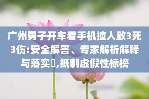 廣州男子開車看手機(jī)撞人致3死3傷:安全解答、專家解析解釋與落實(shí)?,抵制虛假性標(biāo)榜