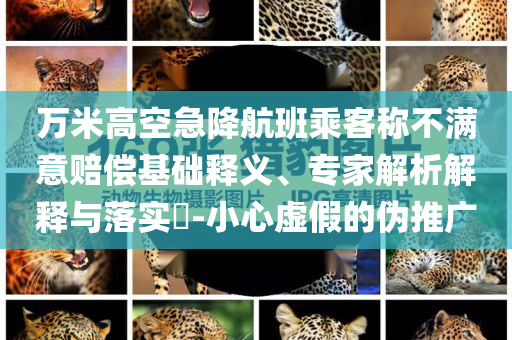 萬米高空急降航班乘客稱不滿意賠償基礎(chǔ)釋義、專家解析解釋與落實?-小心虛假的偽推廣