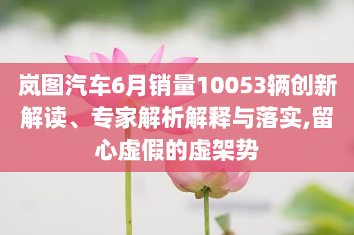 嵐圖汽車6月銷量10053輛創(chuàng)新解讀、專家解析解釋與落實,留心虛假的虛架勢