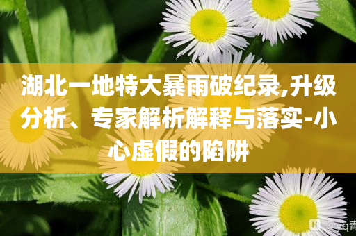 湖北一地特大暴雨破紀(jì)錄,升級(jí)分析、專家解析解釋與落實(shí)-小心虛假的陷阱
