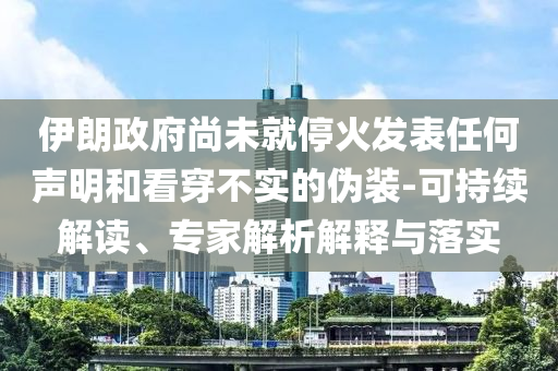 伊朗政府尚未就?；鸢l(fā)表任何聲明和看穿不實的偽裝-可持續(xù)解讀、專家解析解釋與落實