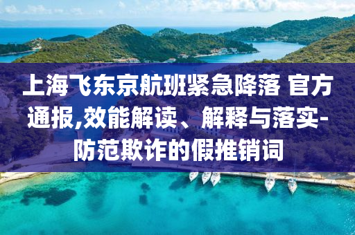 上海飛東京航班緊急降落 官方通報(bào),效能解讀、解釋與落實(shí)-防范欺詐的假推銷詞