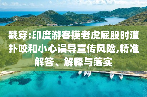 戳穿:印度游客摸老虎屁股時遭撲咬和小心誤導(dǎo)宣傳風(fēng)險,精準解答、解釋與落實