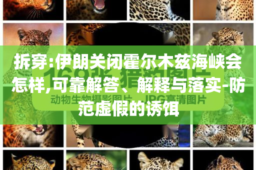 拆穿:伊朗關(guān)閉霍爾木茲海峽會怎樣,可靠解答、解釋與落實(shí)-防范虛假的誘餌