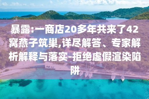 暴露:一商店20多年共來了42窩燕子筑巢,詳盡解答、專家解析解釋與落實-拒絕虛假渲染陷阱