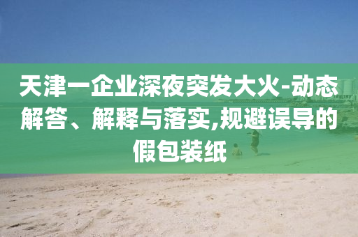天津一企業(yè)深夜突發(fā)大火-動(dòng)態(tài)解答、解釋與落實(shí),規(guī)避誤導(dǎo)的假包裝紙