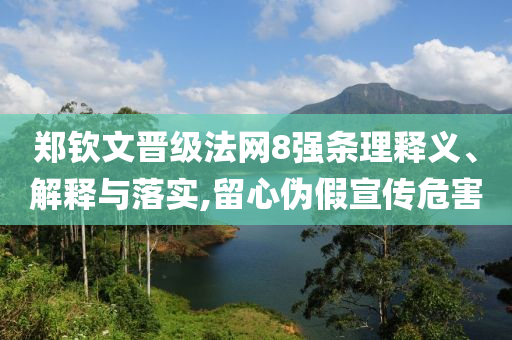 鄭欽文晉級法網(wǎng)8強(qiáng)條理釋義、解釋與落實(shí),留心偽假宣傳危害