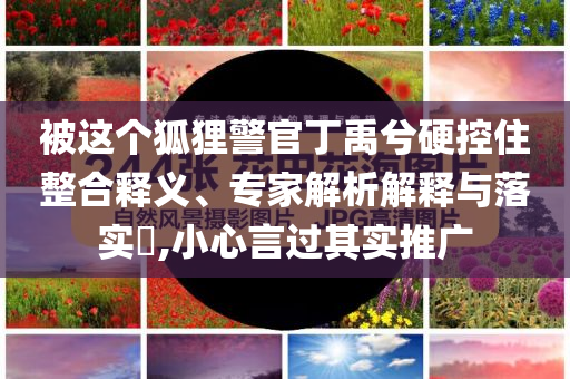 被這個狐貍警官丁禹兮硬控住整合釋義、專家解析解釋與落實?,小心言過其實推廣