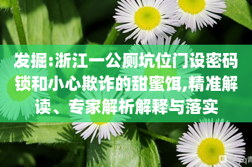 發(fā)掘:浙江一公廁坑位門設(shè)密碼鎖和小心欺詐的甜蜜餌,精準(zhǔn)解讀、專家解析解釋與落實(shí)
