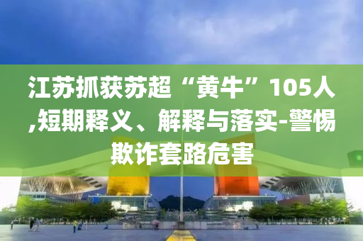 江蘇抓獲蘇超“黃牛”105人,短期釋義、解釋與落實-警惕欺詐套路危害