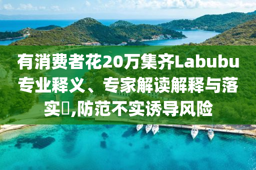 有消費(fèi)者花20萬集齊Labubu專業(yè)釋義、專家解讀解釋與落實(shí)?,防范不實(shí)誘導(dǎo)風(fēng)險