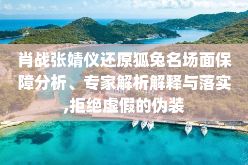 肖戰(zhàn)張婧儀還原狐兔名場面保障分析、專家解析解釋與落實,拒絕虛假的偽裝