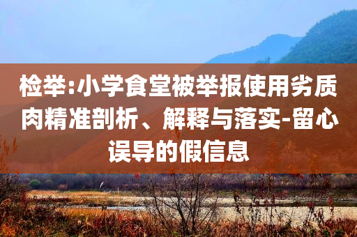 檢舉:小學(xué)食堂被舉報使用劣質(zhì)肉精準(zhǔn)剖析、解釋與落實-留心誤導(dǎo)的假信息