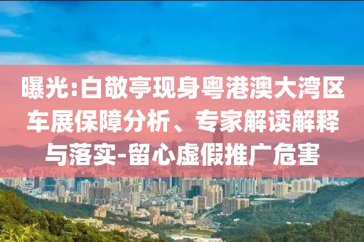 曝光:白敬亭現(xiàn)身粵港澳大灣區(qū)車展保障分析、專家解讀解釋與落實(shí)-留心虛假推廣危害