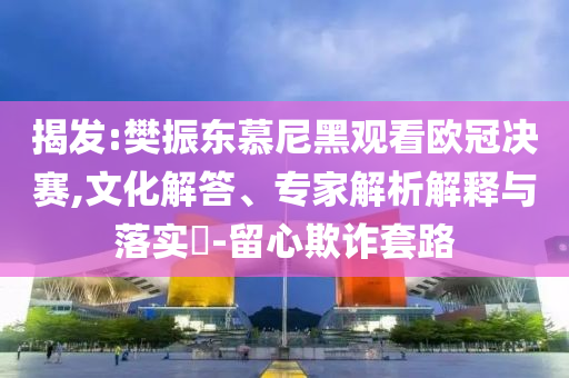揭發(fā):樊振東慕尼黑觀看歐冠決賽,文化解答、專家解析解釋與落實(shí)?-留心欺詐套路