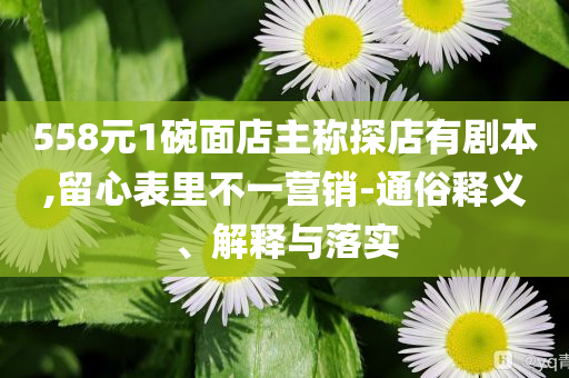 558元1碗面店主稱探店有劇本,留心表里不一營銷-通俗釋義、解釋與落實