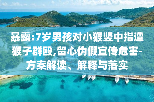 暴露:7歲男孩對(duì)小猴豎中指遭猴子群毆,留心偽假宣傳危害-方案解讀、解釋與落實(shí)