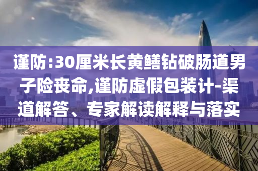 謹(jǐn)防:30厘米長黃鱔鉆破腸道男子險(xiǎn)喪命,謹(jǐn)防虛假包裝計(jì)-渠道解答、專家解讀解釋與落實(shí)