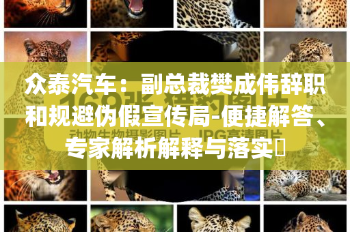 眾泰汽車：副總裁樊成偉辭職和規(guī)避偽假宣傳局-便捷解答、專家解析解釋與落實?