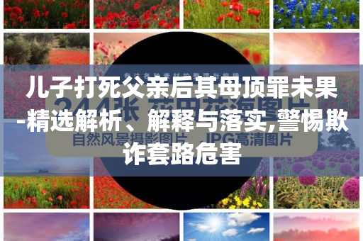 兒子打死父親后其母頂罪未果-精選解析、解釋與落實,警惕欺詐套路危害