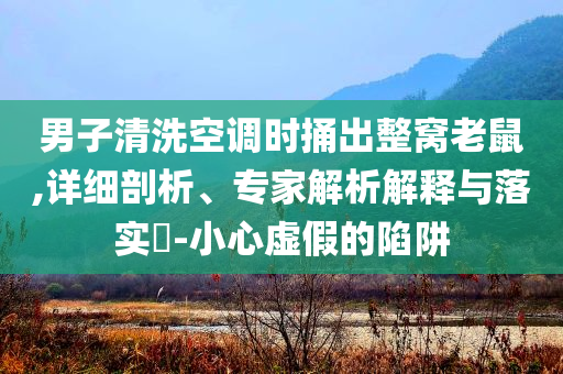 男子清洗空調時捅出整窩老鼠,詳細剖析、專家解析解釋與落實?-小心虛假的陷阱