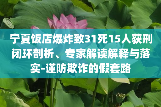 寧夏飯店爆炸致31死15人獲刑閉環(huán)剖析、專家解讀解釋與落實-謹(jǐn)防欺詐的假套路