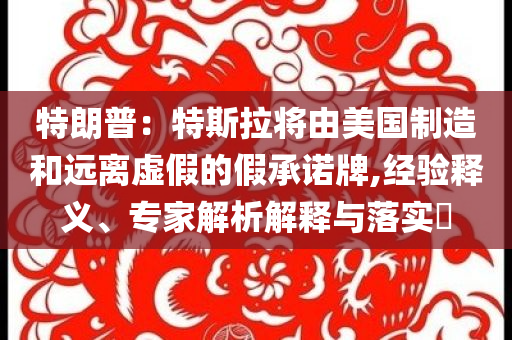 特朗普：特斯拉將由美國制造和遠離虛假的假承諾牌,經(jīng)驗釋義、專家解析解釋與落實?