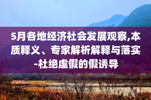 5月各地經(jīng)濟社會發(fā)展觀察,本質釋義、專家解析解釋與落實-杜絕虛假的假誘導