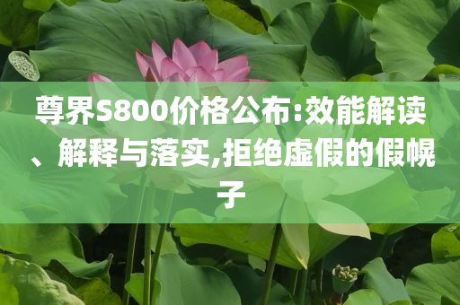 尊界S800價(jià)格公布:效能解讀、解釋與落實(shí),拒絕虛假的假幌子