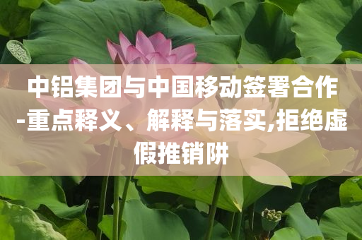 中鋁集團(tuán)與中國移動(dòng)簽署合作-重點(diǎn)釋義、解釋與落實(shí),拒絕虛假推銷阱