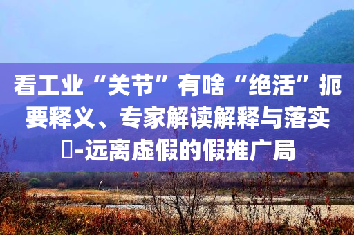 看工業(yè)“關(guān)節(jié)”有啥“絕活”扼要釋義、專家解讀解釋與落實(shí)?-遠(yuǎn)離虛假的假推廣局