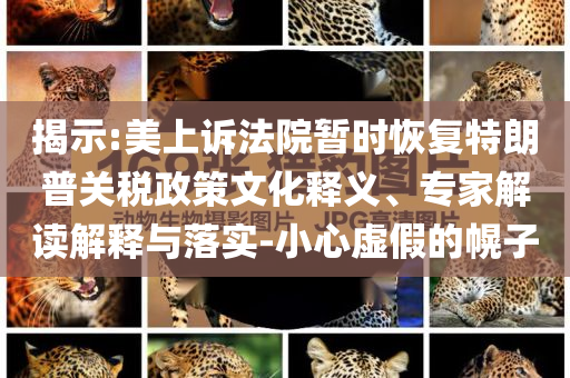 揭示:美上訴法院暫時(shí)恢復(fù)特朗普關(guān)稅政策文化釋義、專家解讀解釋與落實(shí)-小心虛假的幌子