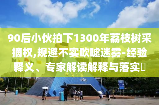 90后小伙拍下1300年荔枝樹采摘權,規(guī)避不實吹噓迷霧-經驗釋義、專家解讀解釋與落實?
