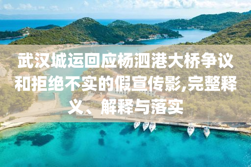 武漢城運(yùn)回應(yīng)楊泗港大橋爭議和拒絕不實的假宣傳影,完整釋義、解釋與落實