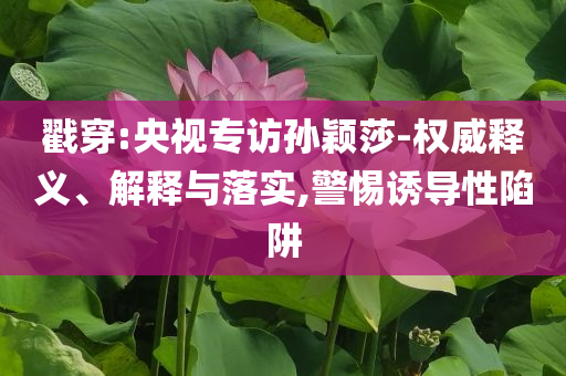 戳穿:央視專訪孫穎莎-權(quán)威釋義、解釋與落實(shí),警惕誘導(dǎo)性陷阱