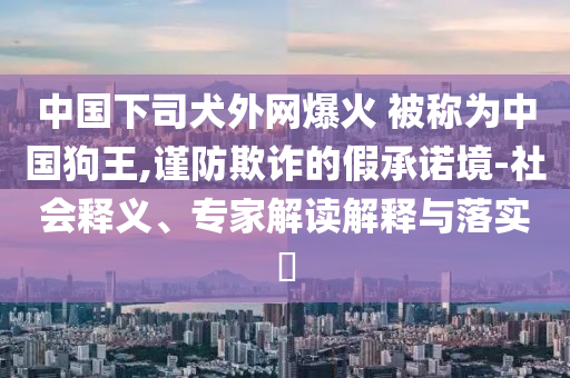 中國下司犬外網(wǎng)爆火 被稱為中國狗王,謹(jǐn)防欺詐的假承諾境-社會(huì)釋義、專家解讀解釋與落實(shí)?