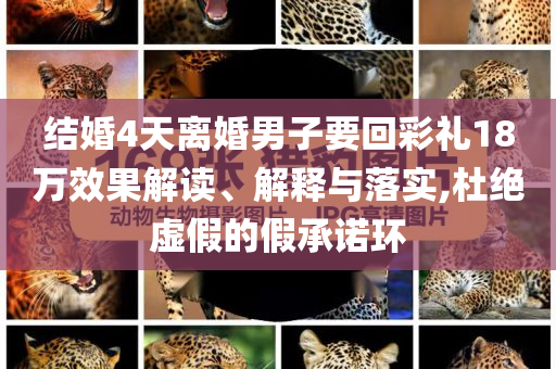 結(jié)婚4天離婚男子要回彩禮18萬效果解讀、解釋與落實(shí),杜絕虛假的假承諾環(huán)