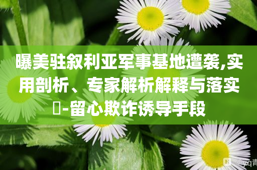 曝美駐敘利亞軍事基地遭襲,實用剖析、專家解析解釋與落實?-留心欺詐誘導手段